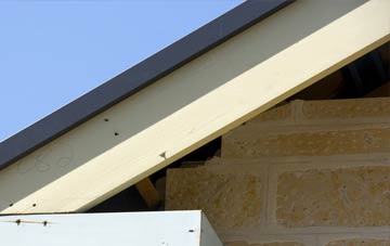 Coddenham fascia repairs