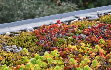the cost of Coddenham green roof installation