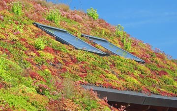 Coddenham living roof systems
